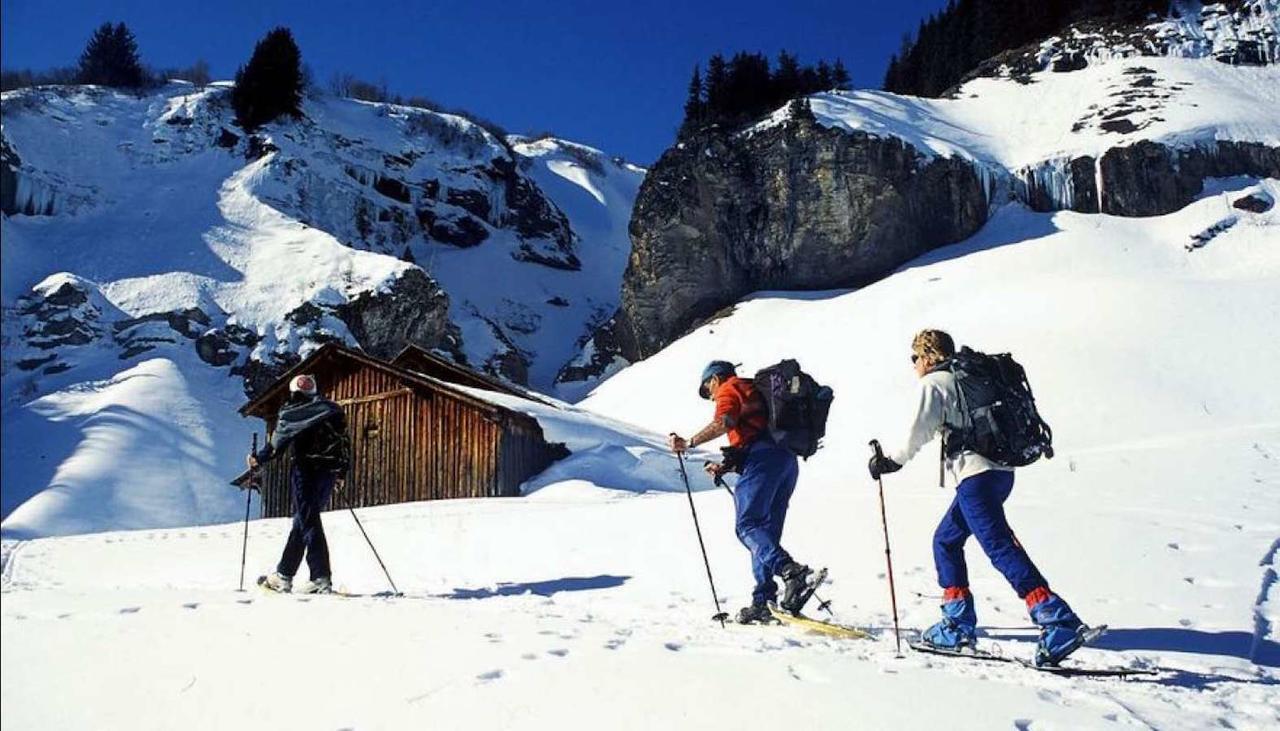 Les Aiguilles De Warens Villa Combloux Dış mekan fotoğraf